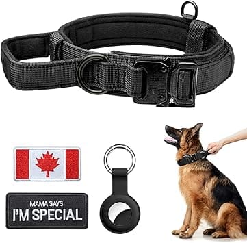 Black Rhino Tactical Neoprene Padded Dog Collar