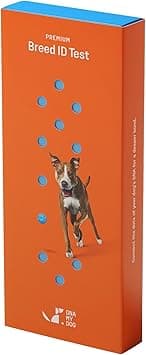 DNA My Dog – Premium Breed ID Test