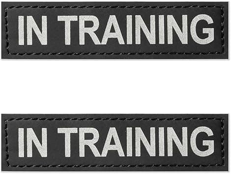 EXCELLENT ELITE SPANKER Reflective "IN TRAINING" Patch (2 Pack)