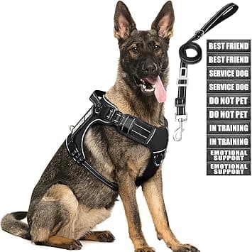 MOOGROU Tactical Dog Harness & Leash Kit (+ 10 Patches)