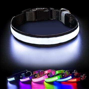 PcEoTllar LED Dog Collar (Rechargeable, RGB Light)